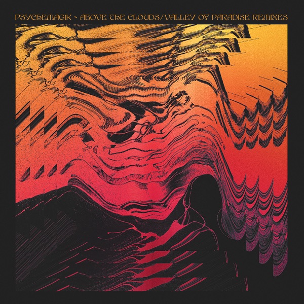 Above the Clouds / Valley of Paradise (Remixes) [feat. Warehouse Preservation Society & Bushwacka!] - Single