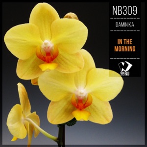 In the Morning - Single