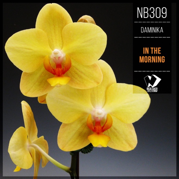 In the Morning - Single