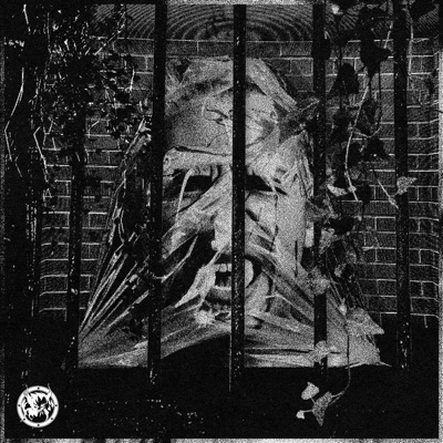 Plastic - Single