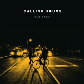 Calling Hours - Alex Chilton
