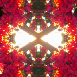 Icarus (feat. 00Junm) Jedwill