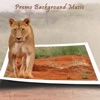 Promo Background Music - Single