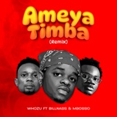 Ameyatimba (Remix) [feat. Billnass & Mbosso] artwork