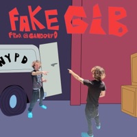 Fake Gib - Single - Akimbo4s