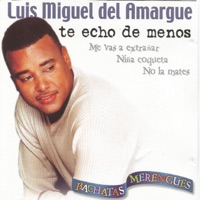 Te Echo de Menos - Luis Miguel del Amargue