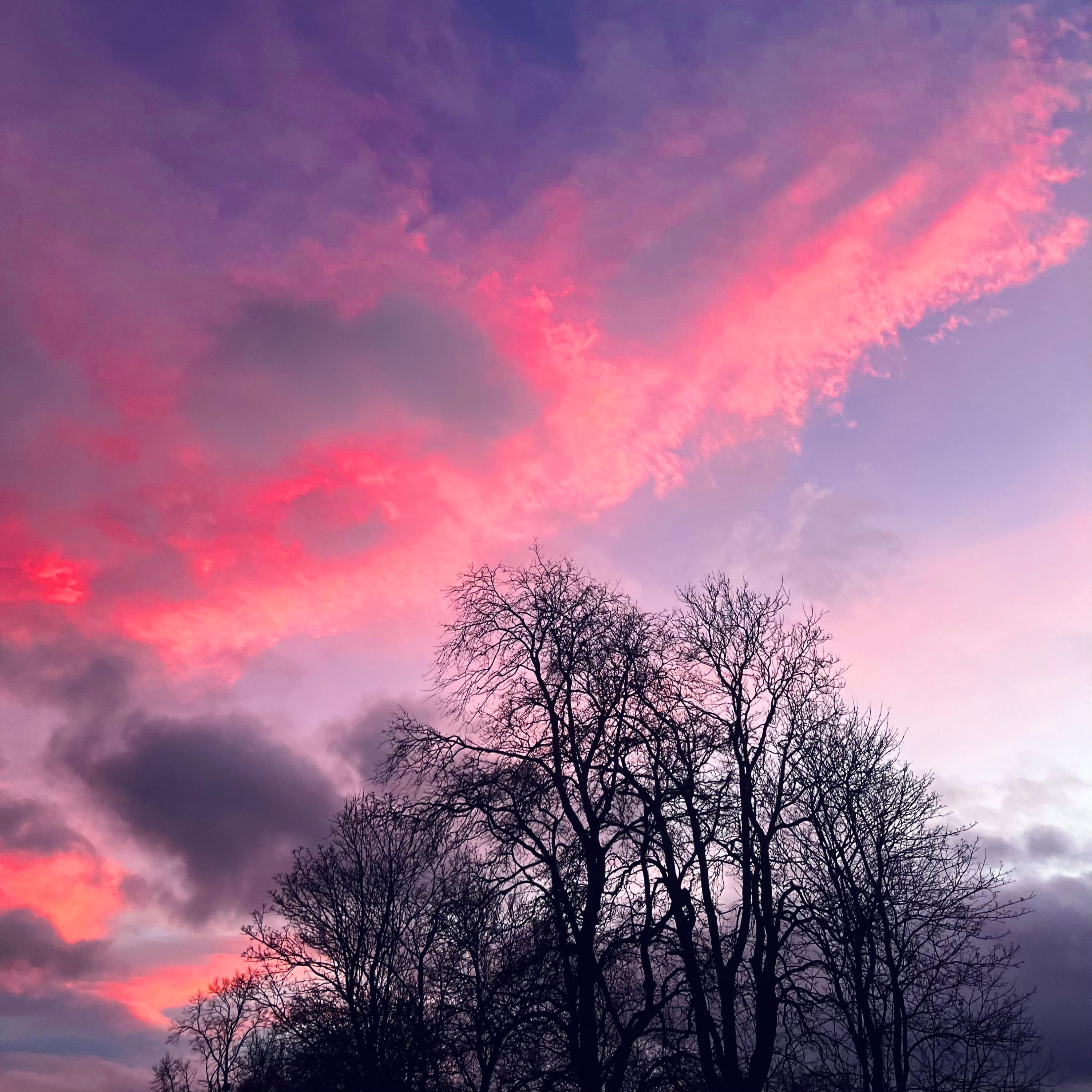 Sunset Phase - Santa Monica