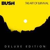 The Art Of Survival (Deluxe) artwork