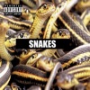 Snakes - Single