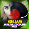 Meri Jaan (From "Gangubai Kathiawadi") [Analogue Mix] - Neeti Mohan, Sanjay Leela Bhansali & Kumaar