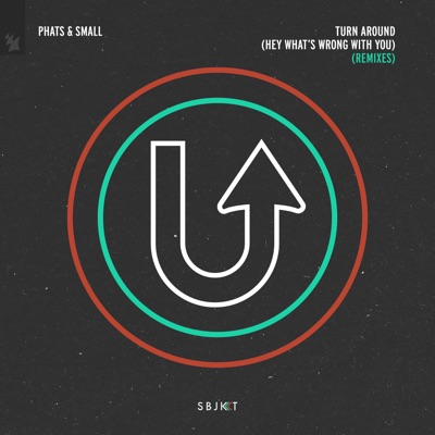 Turn Around (Hey What's Wrong with You) [Robosonic Remix] artwork