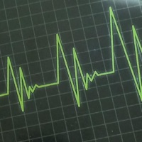 Betonnen Jungle (feat. Denise) - Single - Gekke C