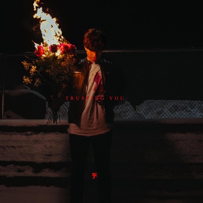 Trusting You - Single