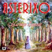 Mariage d'amour (Chopin Spring Waltz) - Asterixo