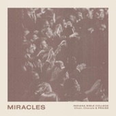 Miracles (Never Thought That I'd Be One) artwork