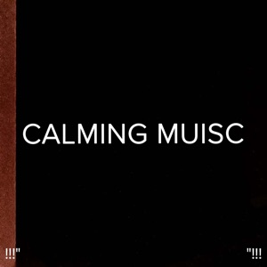 !!!" Calming Music "!!!