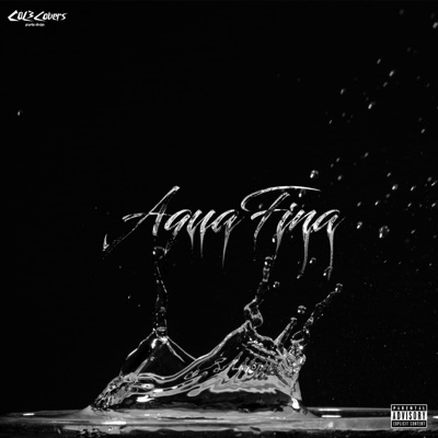 Aquafina - Single