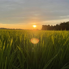 Blurry (feat. Ujin) may