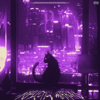 Reflection Mirrors - Single - Plagorade, SoulClose! & vishnyazxc