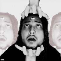 Fallen Down - Single - Shenendoah