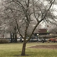 Luv Hurts - Single - IMLONELYASTA