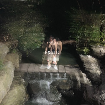 EXOTIC (feat. Zay Miller) - Single