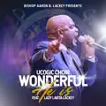 Wonderful He Is