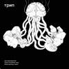 A Broken Clock Is Right Twice A Day cover art