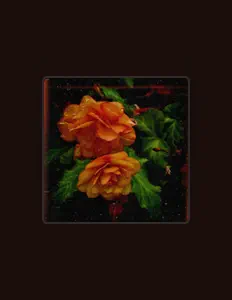 收听 Santiago de la Parra、观看音乐视频、阅读小传、查看巡演日期等 ！