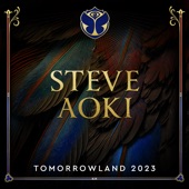 Tomorrowland 2023: Steve Aoki at Mainstage, Weekend 2 (DJ Mix) artwork