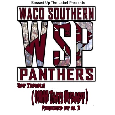 WSP (Ooohh Thats My Baby) - Single