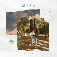 Mesa - Single - Lucas