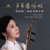 Duan Aiai's Best Erhu Concertos - Duan Aiai