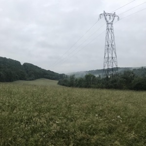 Parallel Five