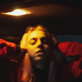 I Would Never Lie Inert