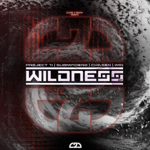 Wildness / Pressure - Single