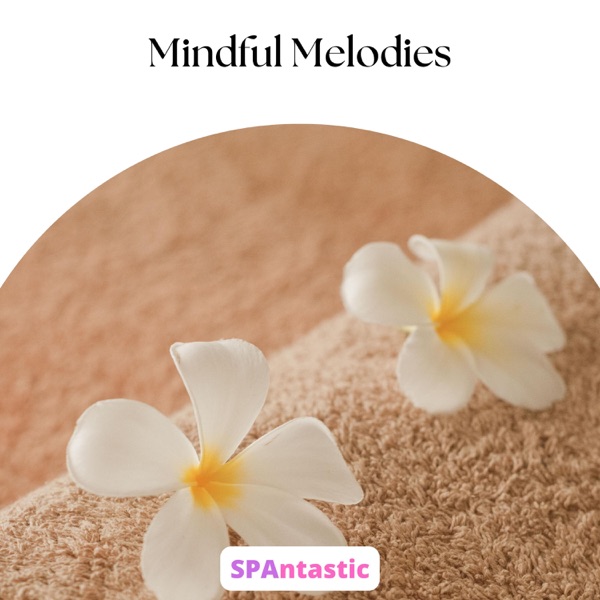 Mindful Melodies - EP