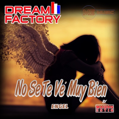 No se te vé muy bien (feat. EngelPY) - Single