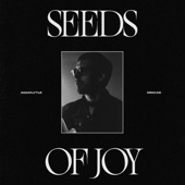 Adam Lytle - Seeds Of Joy