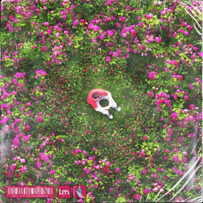 Reflective Therapy - EP
