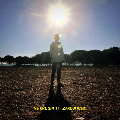 ns kré sin ti - Single
