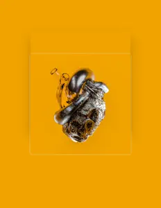 Dengarkan O.B.W.N., tonton video musik, baca bio, lihat tanggal tur & lainnya!