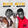 Bye Bye (feat. Billirano) - Single