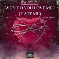 Why Do You Love Me? (Hate Me) (feat. Lil Joe) - Single - B-Cee