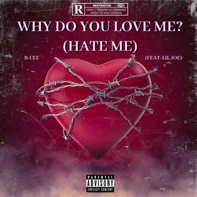 Why Do You Love Me? (Hate Me) (feat. Lil Joe) - Single