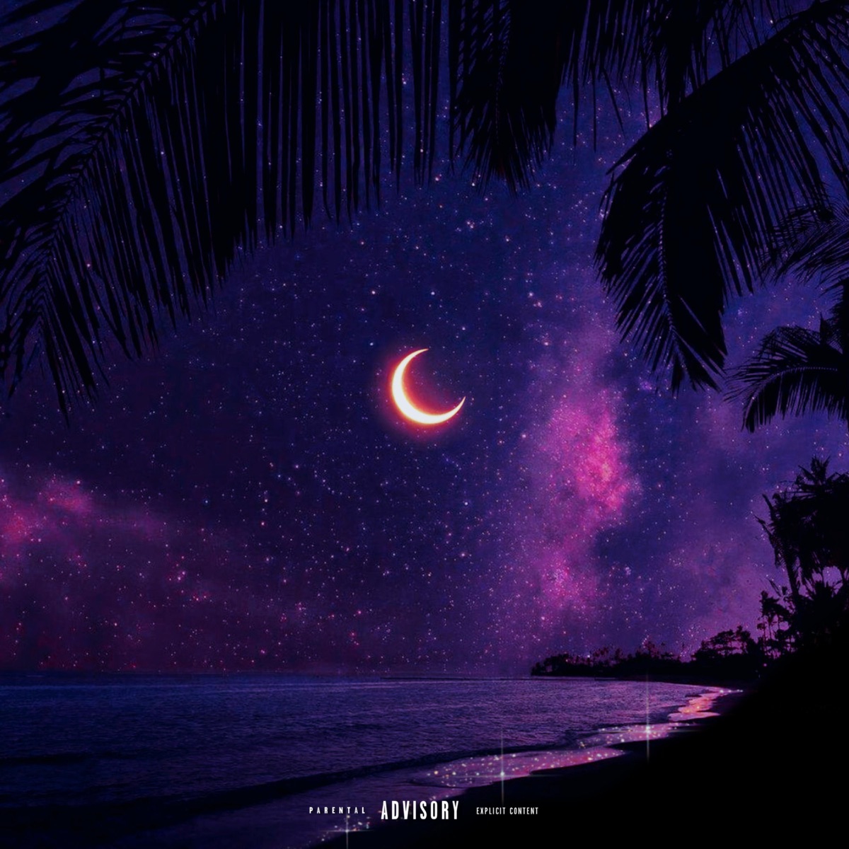 Palms & Moon Purple Aesthetic Wallpaper Purple Wallpaper Phone