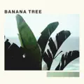Banana Tree