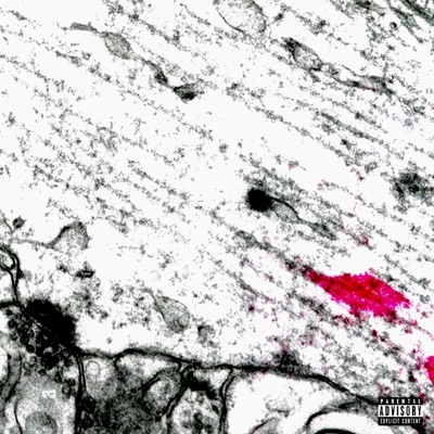 Cobblestone - Single