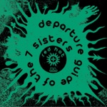Red Hot Org & Meshell Ndegeocello - Departure Guide of the 7 Sisters (feat. Deantoni Parks, Jade Hicks & Christopher Bruce)