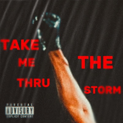 Take Me Thru The Storm - Single